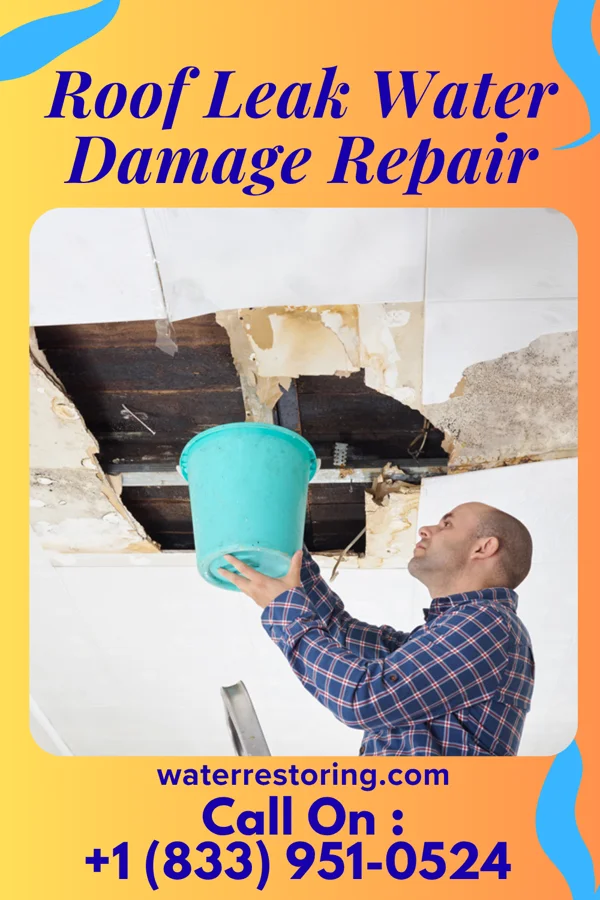 Roof Leak Water Damage Repair in Aullville, MO